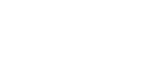 MGS - Management Group of Services Logo